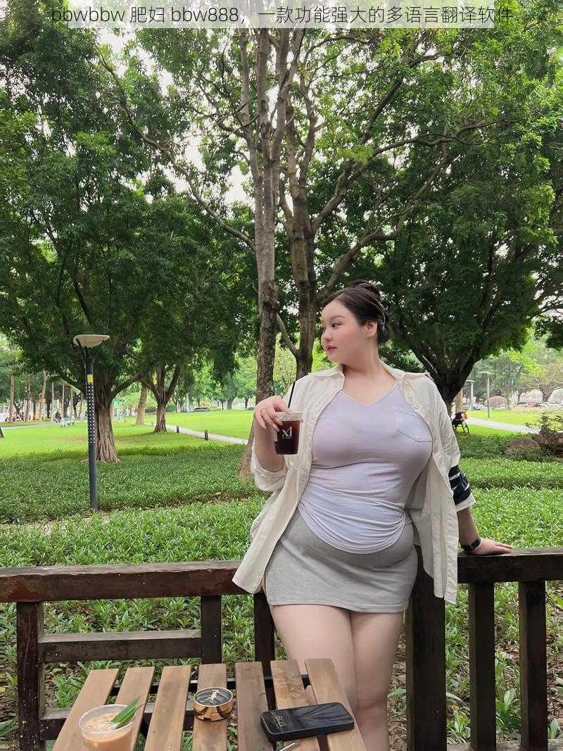 bbwbbw 肥妇 bbw888，一款功能强大的多语言翻译软件