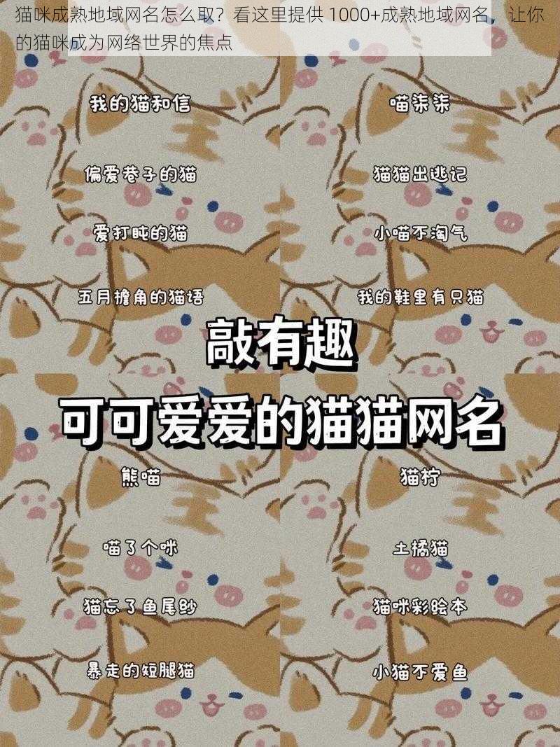 猫咪成熟地域网名怎么取？看这里提供 1000+成熟地域网名，让你的猫咪成为网络世界的焦点