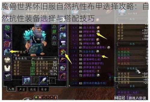 魔兽世界怀旧服自然抗性布甲选择攻略：自然抗性装备选择与搭配技巧