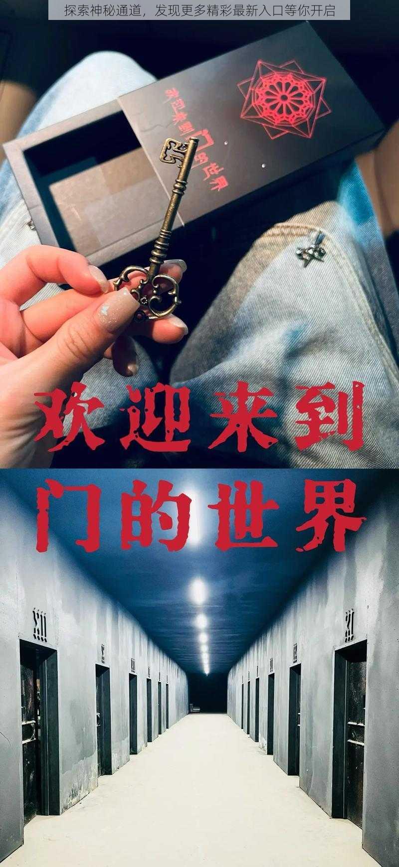 探索神秘通道，发现更多精彩最新入口等你开启