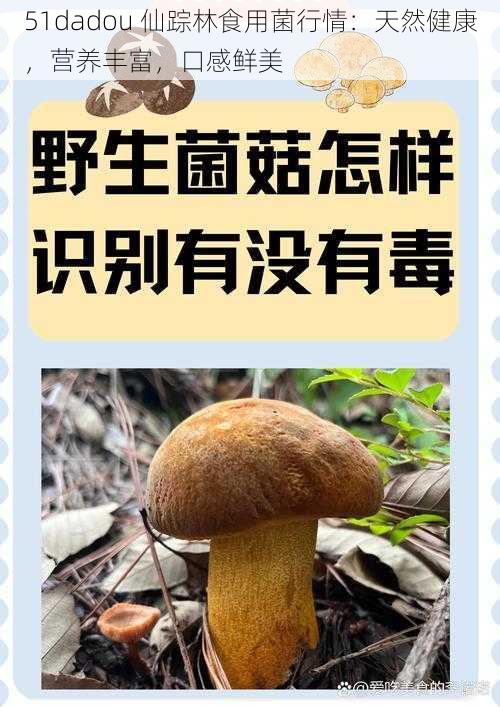 51dadou 仙踪林食用菌行情：天然健康，营养丰富，口感鲜美