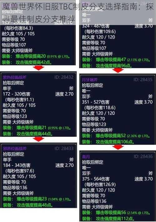 魔兽世界怀旧服TBC制皮分支选择指南：探寻最佳制皮分支推荐