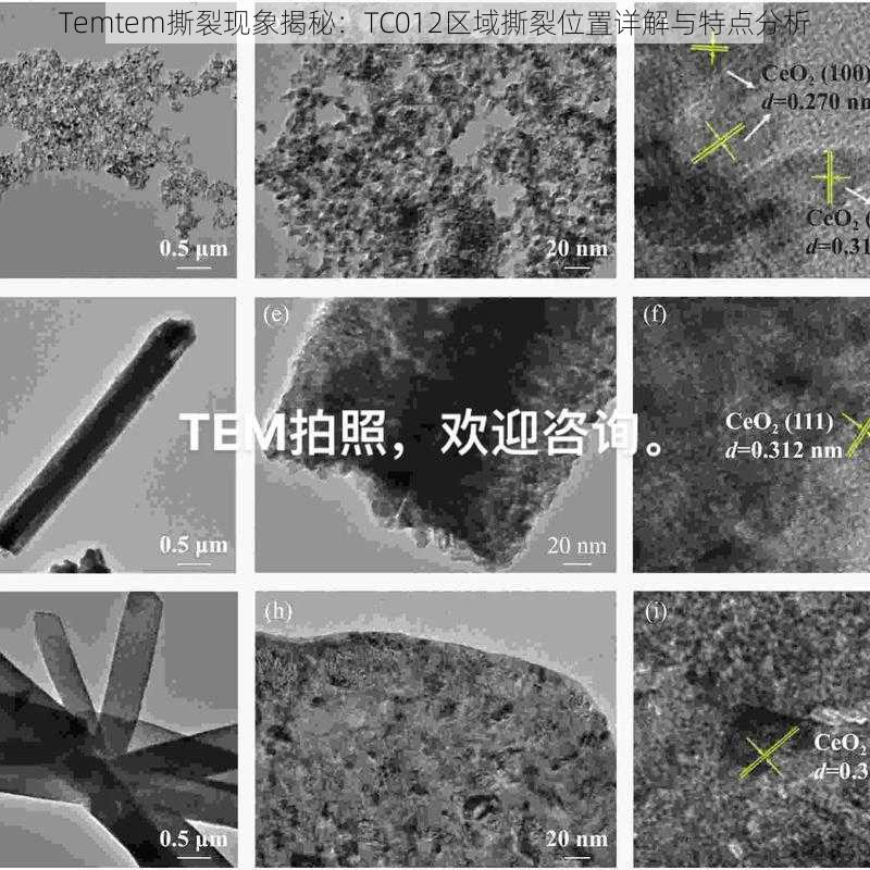 Temtem撕裂现象揭秘：TC012区域撕裂位置详解与特点分析