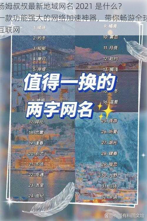 汤姆叔叔最新地域网名 2021 是什么？一款功能强大的网络加速神器，带你畅游全球互联网