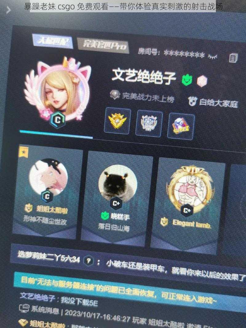 暴躁老妹 csgo 免费观看——带你体验真实刺激的射击战场