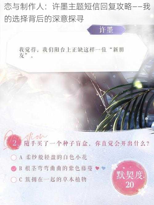 恋与制作人：许墨主题短信回复攻略——我的选择背后的深意探寻