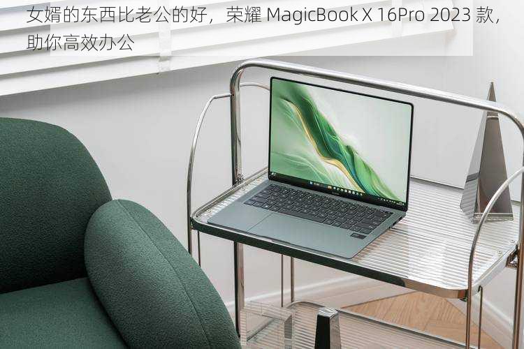 女婿的东西比老公的好，荣耀 MagicBook X 16Pro 2023 款，助你高效办公