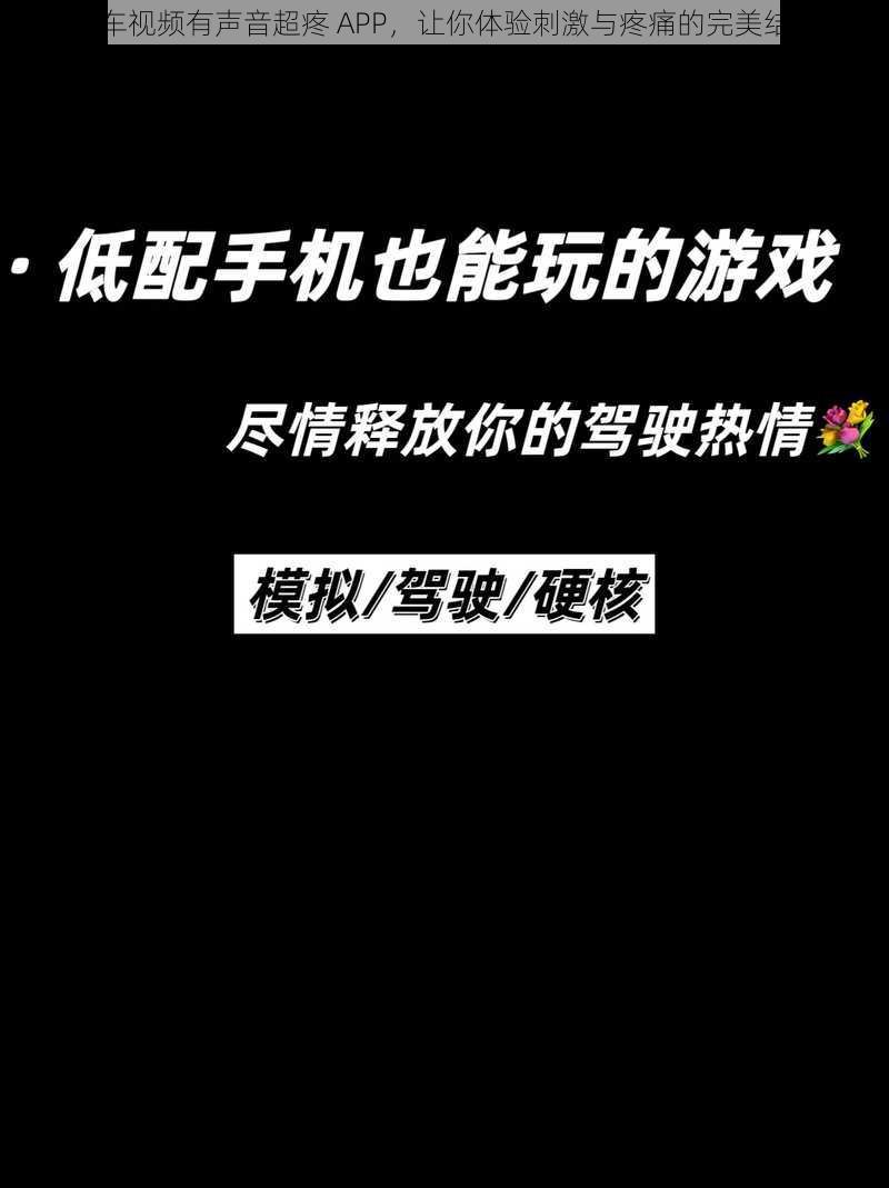 开车视频有声音超疼 APP，让你体验刺激与疼痛的完美结合