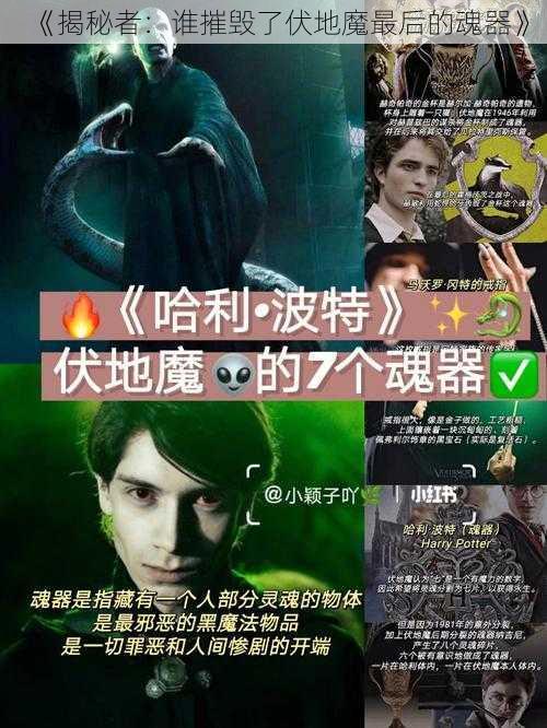 《揭秘者：谁摧毁了伏地魔最后的魂器》