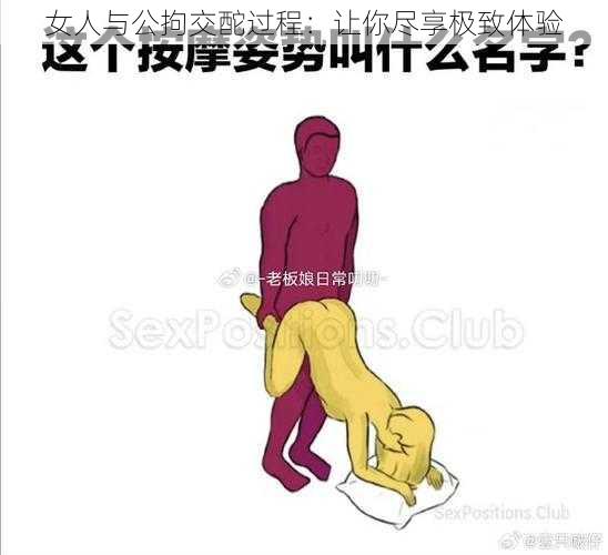 女人与公拘交酡过程：让你尽享极致体验