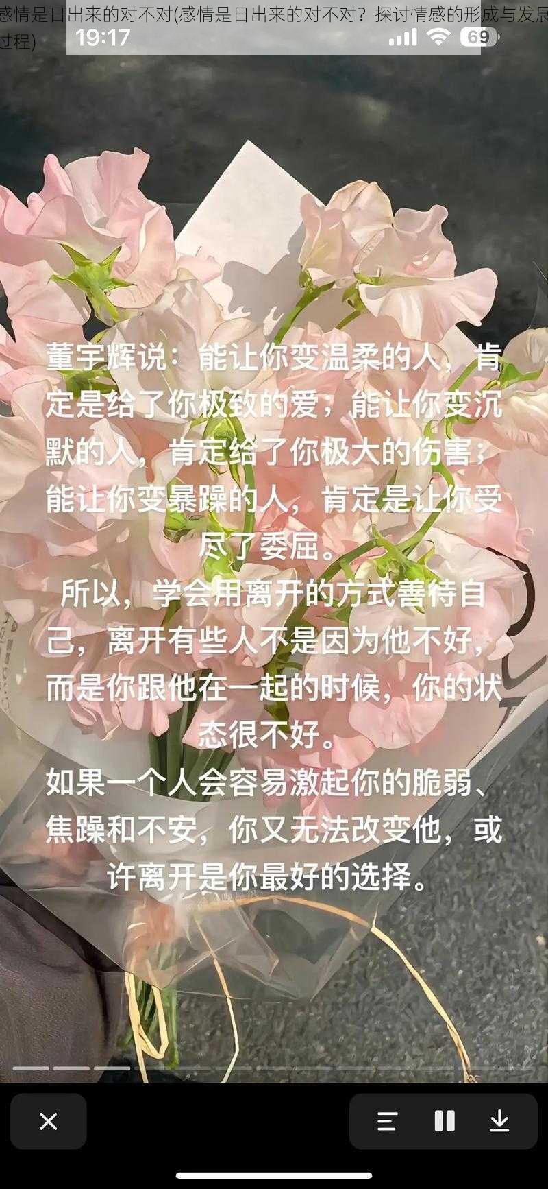 感情是日出来的对不对(感情是日出来的对不对？探讨情感的形成与发展过程)