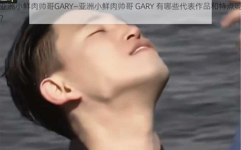 亚洲小鲜肉帅哥GARY—亚洲小鲜肉帅哥 GARY 有哪些代表作品和特点呢？