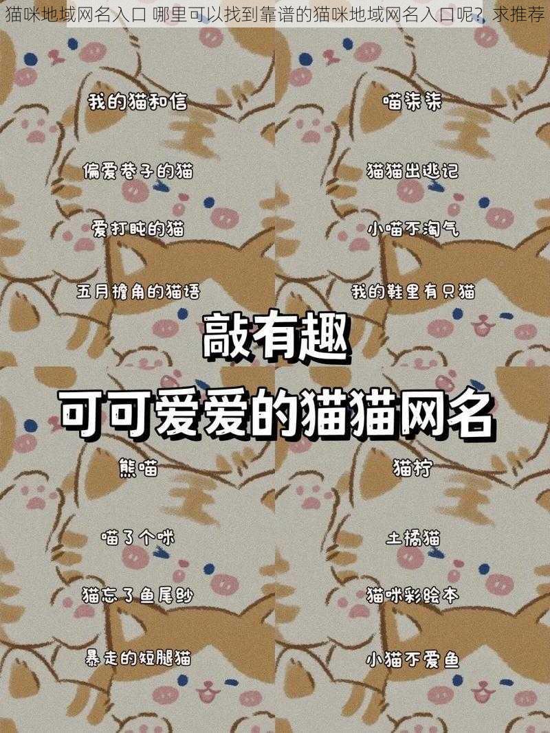 猫咪地域网名入口 哪里可以找到靠谱的猫咪地域网名入口呢？求推荐