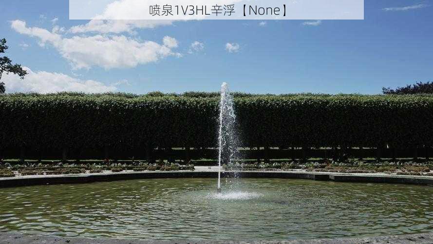 喷泉1V3HL辛浮【None】