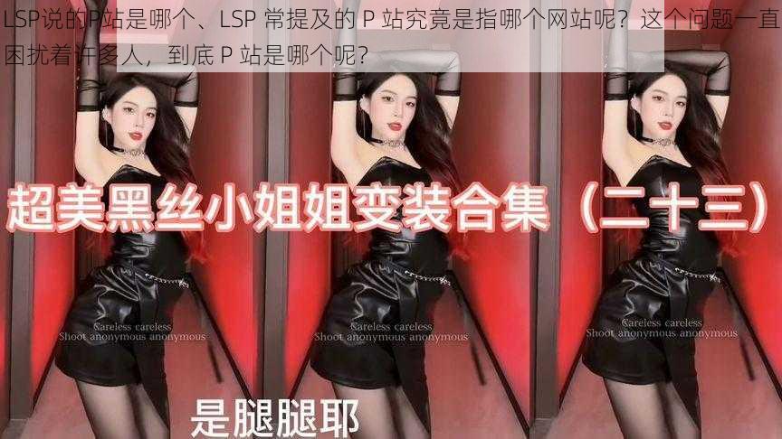 LSP说的P站是哪个、LSP 常提及的 P 站究竟是指哪个网站呢？这个问题一直困扰着许多人，到底 P 站是哪个呢？