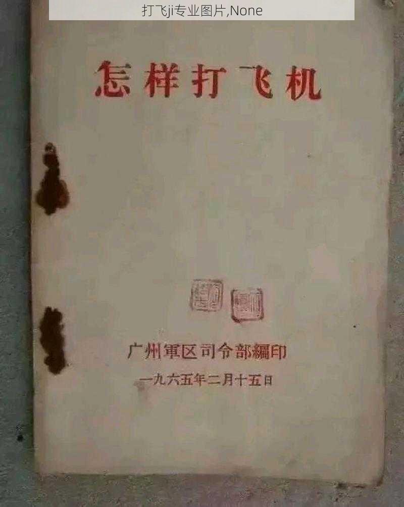 打飞ji专业图片,None