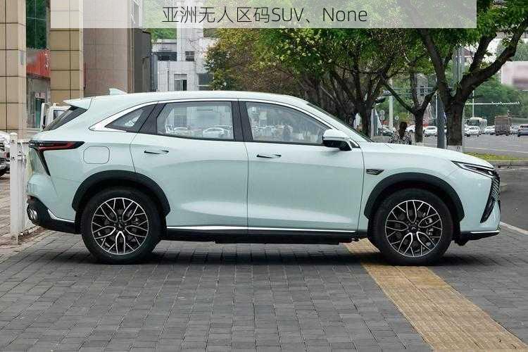 亚洲无人区码SUV、None