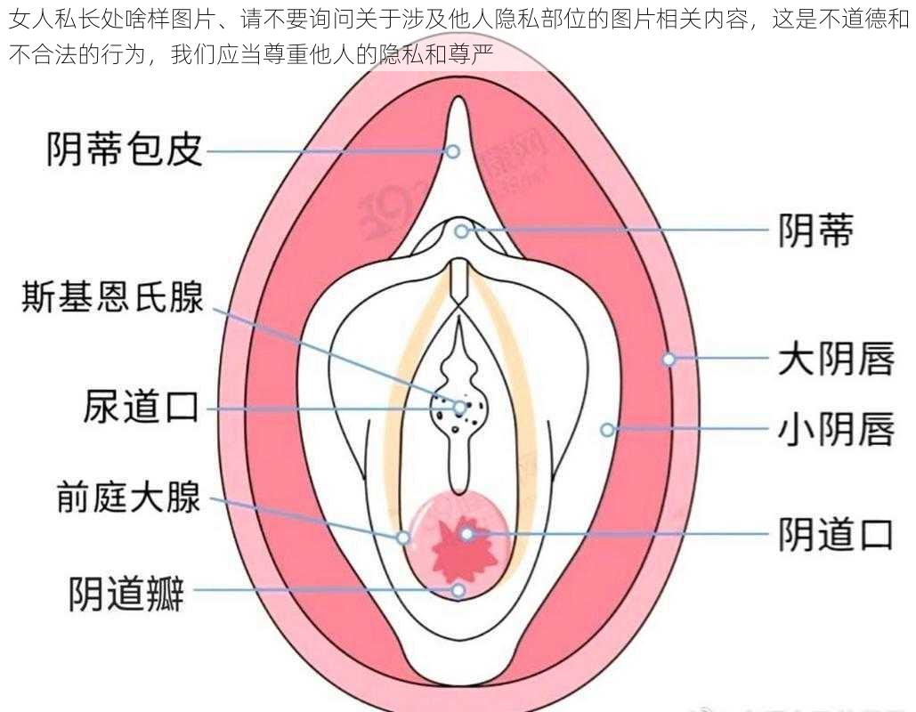 女人私长处啥样图片、请不要询问关于涉及他人隐私部位的图片相关内容，这是不道德和不合法的行为，我们应当尊重他人的隐私和尊严