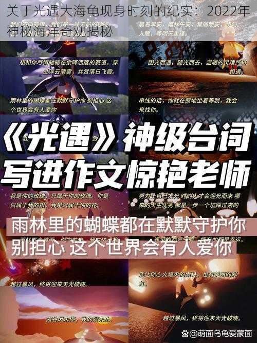 关于光遇大海龟现身时刻的纪实：2022年神秘海洋奇观揭秘