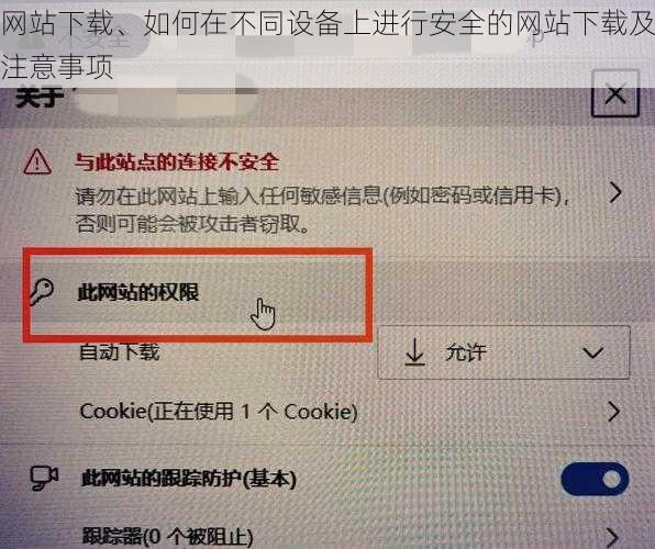 网站下载、如何在不同设备上进行安全的网站下载及注意事项