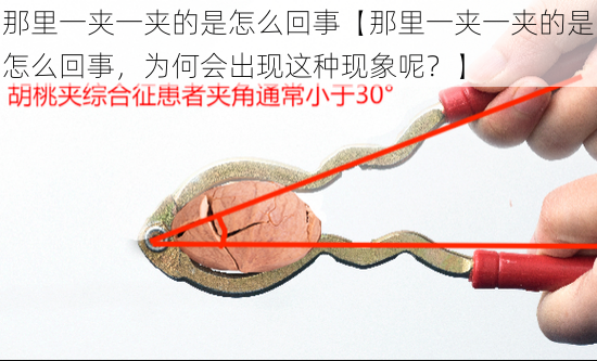 那里一夹一夹的是怎么回事【那里一夹一夹的是怎么回事，为何会出现这种现象呢？】