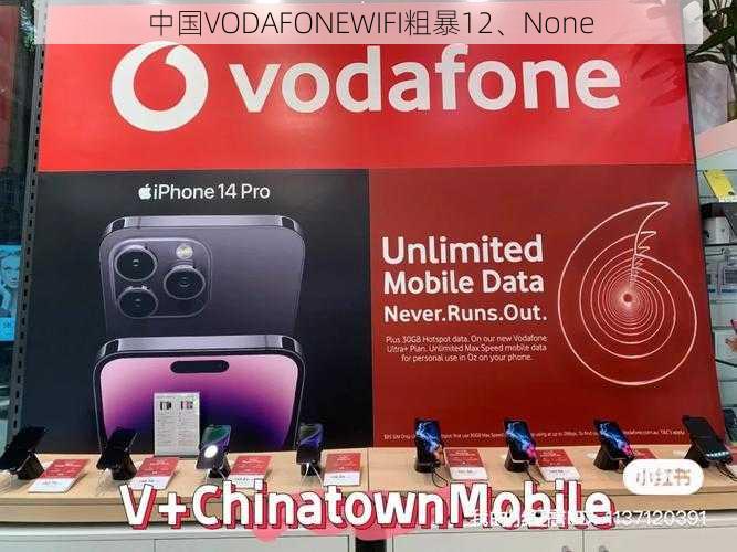 中国VODAFONEWIFI粗暴12、None