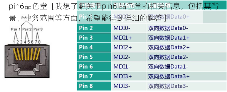 pin6品色堂【我想了解关于pin6 品色堂的相关信息，包括其背景、业务范围等方面，希望能得到详细的解答】