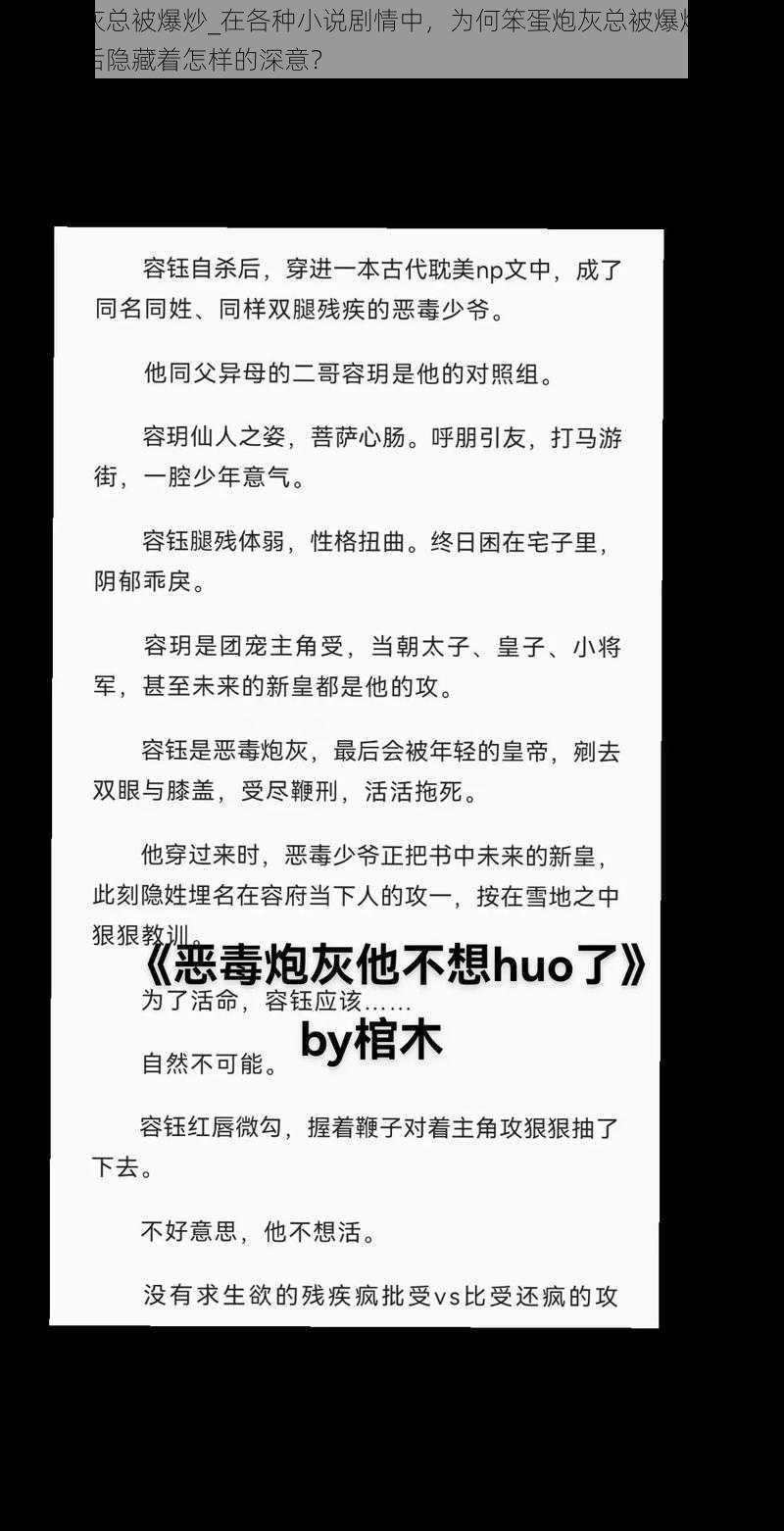 笨蛋炮灰总被爆炒_在各种小说剧情中，为何笨蛋炮灰总被爆炒？这种现象背后隐藏着怎样的深意？