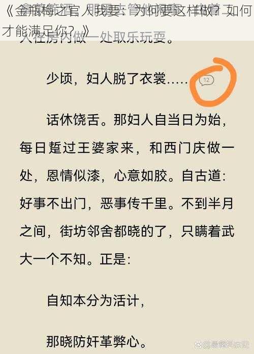 《金瓶梅之官人我要：为何要这样做？如何才能满足你？》