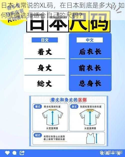 日本人常说的XL码，在日本到底是多大？如何准确选择适合自己的尺码？