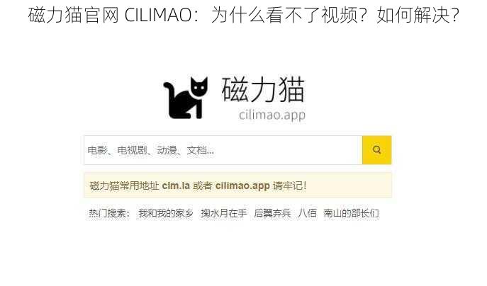 磁力猫官网 CILIMAO：为什么看不了视频？如何解决？