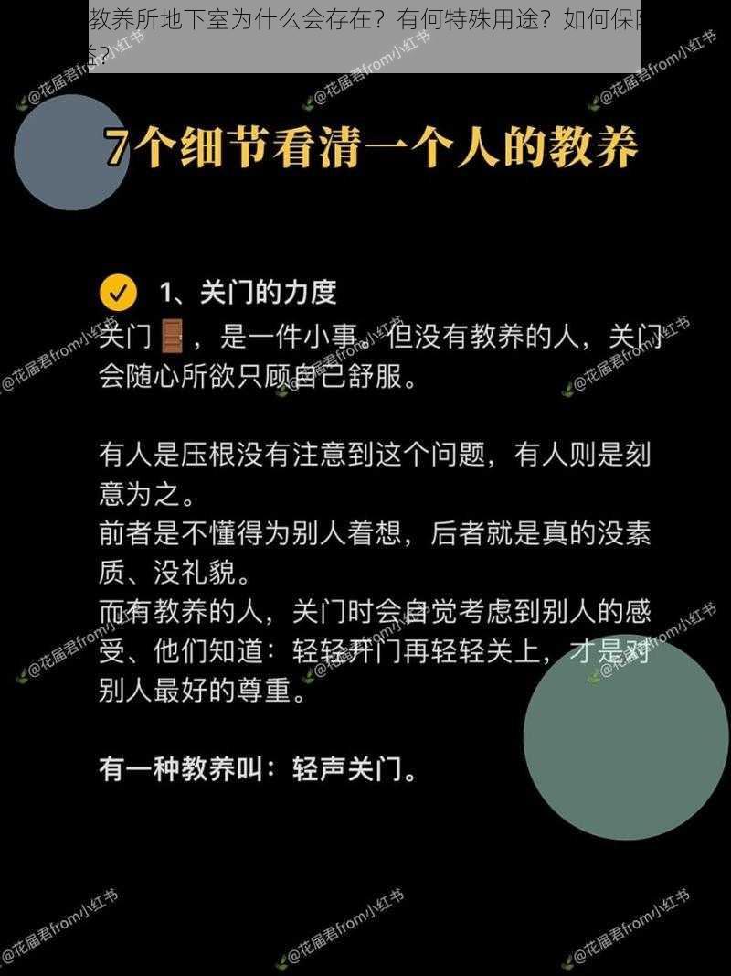 omega 教养所地下室为什么会存在？有何特殊用途？如何保障被教养者的权益？