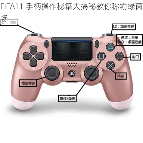 FIFA11 手柄操作秘籍大揭秘教你称霸绿茵场