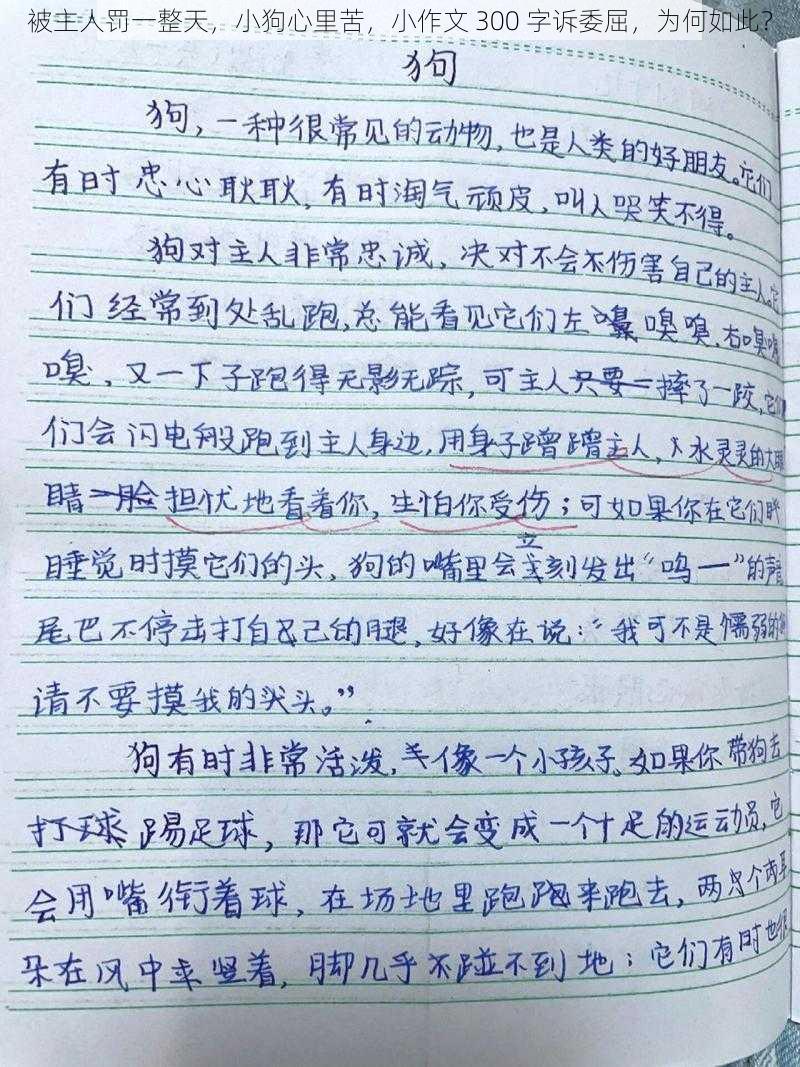 被主人罚一整天，小狗心里苦，小作文 300 字诉委屈，为何如此？