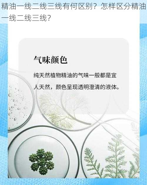 精油一线二线三线有何区别？怎样区分精油一线二线三线？