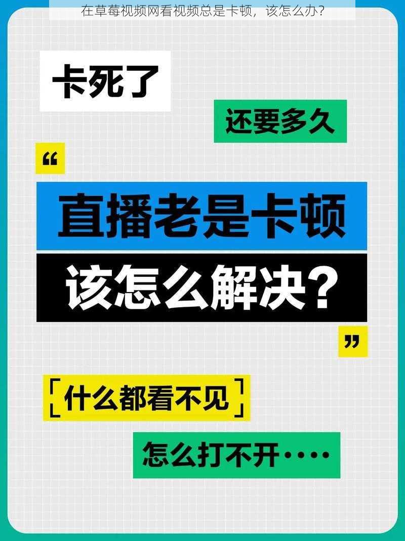 在草莓视频网看视频总是卡顿，该怎么办？