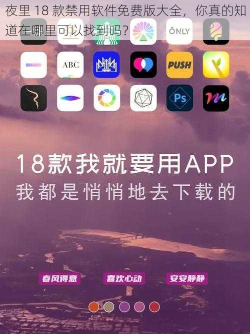 夜里 18 款禁用软件免费版大全，你真的知道在哪里可以找到吗？