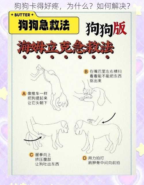 狗狗卡得好疼，为什么？如何解决？