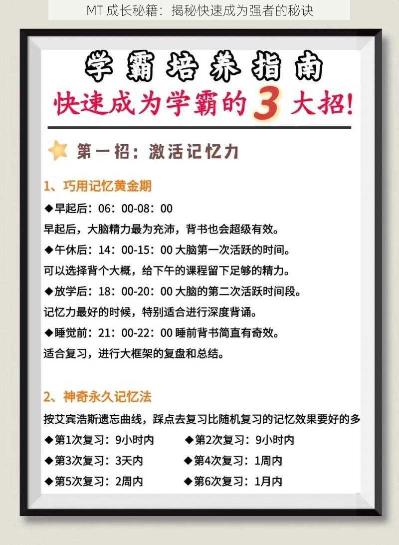 MT 成长秘籍：揭秘快速成为强者的秘诀