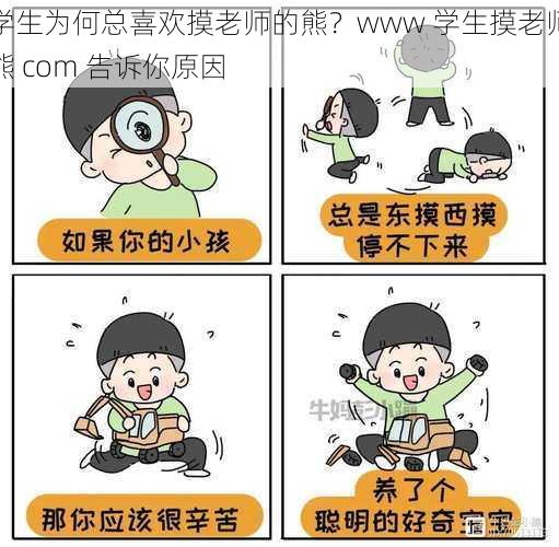 学生为何总喜欢摸老师的熊？www 学生摸老师熊 com 告诉你原因