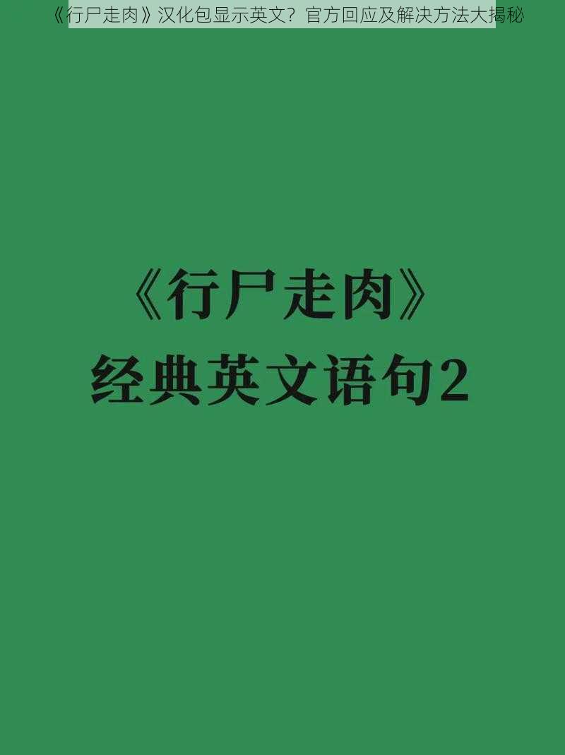 《行尸走肉》汉化包显示英文？官方回应及解决方法大揭秘