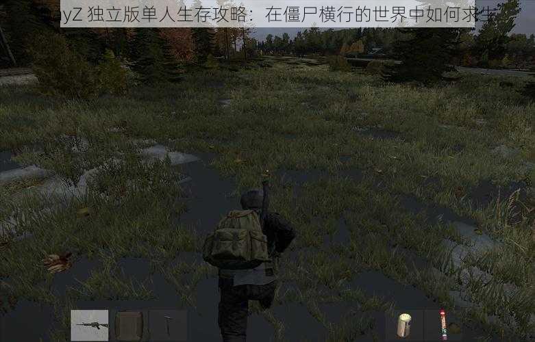 DayZ 独立版单人生存攻略：在僵尸横行的世界中如何求生