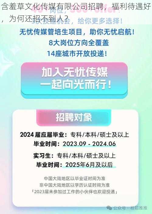 含羞草文化传媒有限公司招聘，福利待遇好，为何还招不到人？