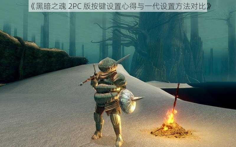 《黑暗之魂 2PC 版按键设置心得与一代设置方法对比》