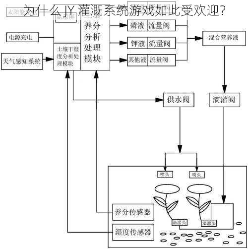 为什么 JY 灌溉系统游戏如此受欢迎？