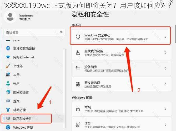 XXXXXL19Dwc 正式版为何即将关闭？用户该如何应对？