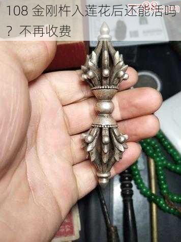 108 金刚杵入莲花后还能活吗？不再收费