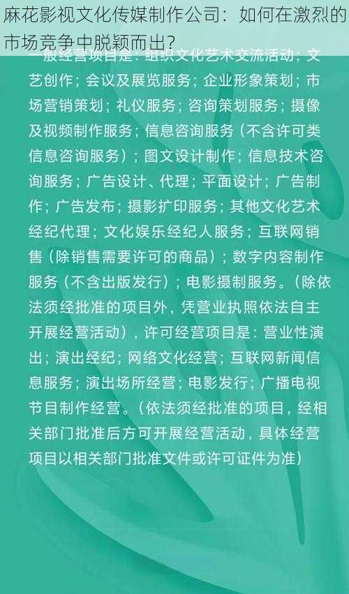 麻花影视文化传媒制作公司：如何在激烈的市场竞争中脱颖而出？