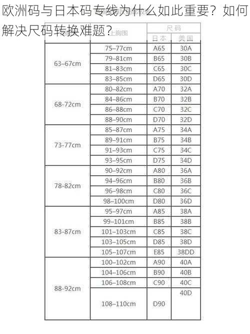 欧洲码与日本码专线为什么如此重要？如何解决尺码转换难题？