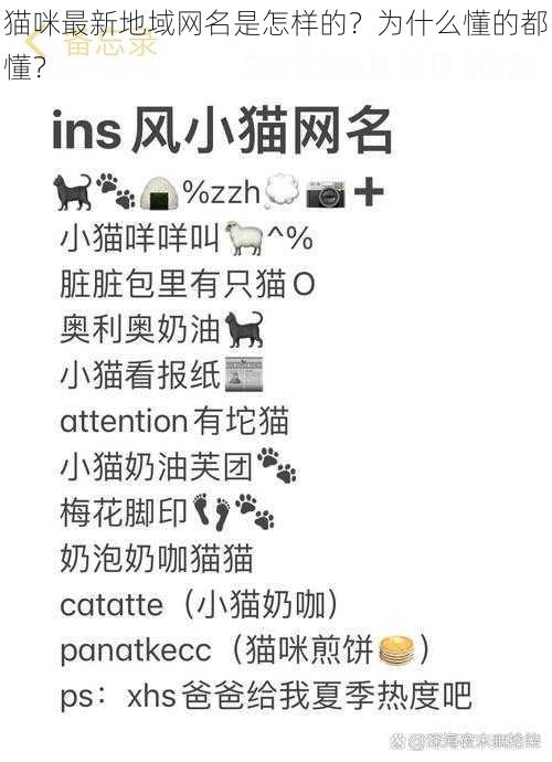 猫咪最新地域网名是怎样的？为什么懂的都懂？